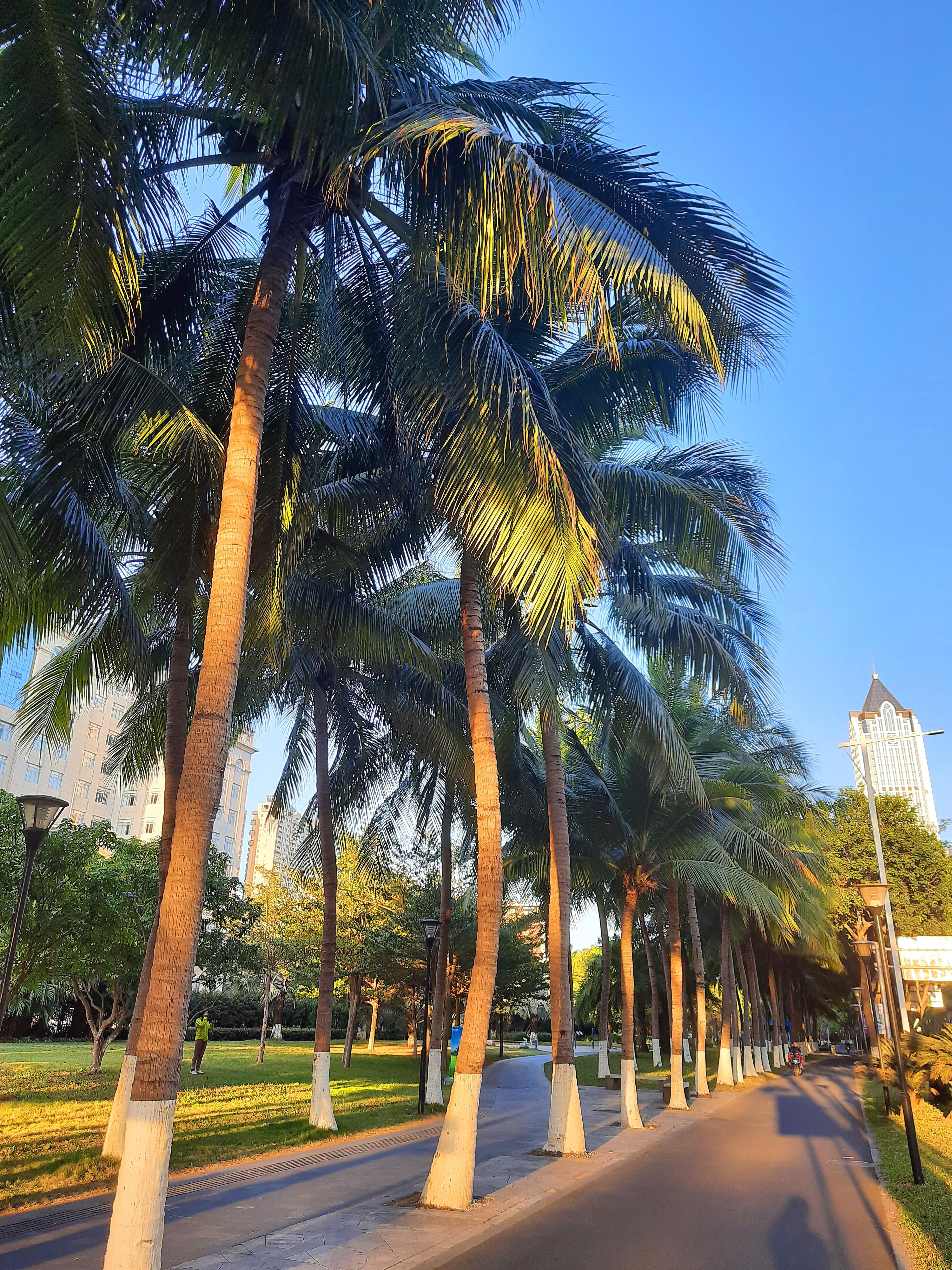 海南,外交部发言人谈构建国际旅游岛绿色发展新格局